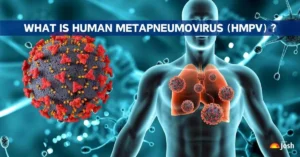 Human Metapneumovirus